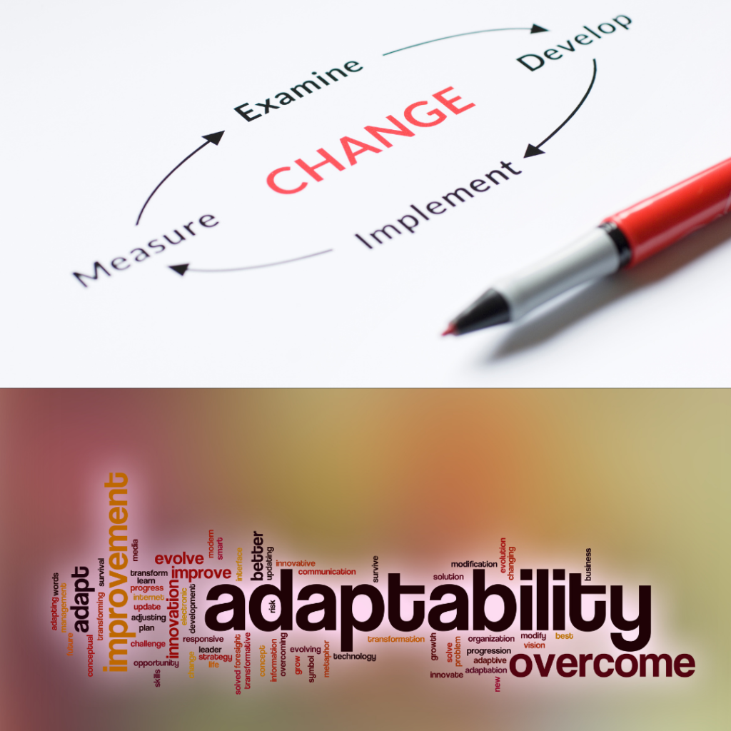 managing change and adopatation